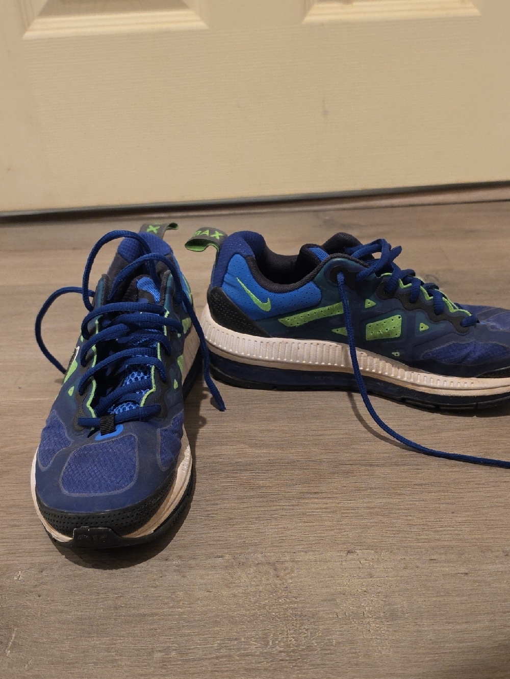 Nike Air Max Genome